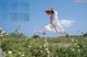 A woman in a white dress and straw hat jumping in a field of flowers.